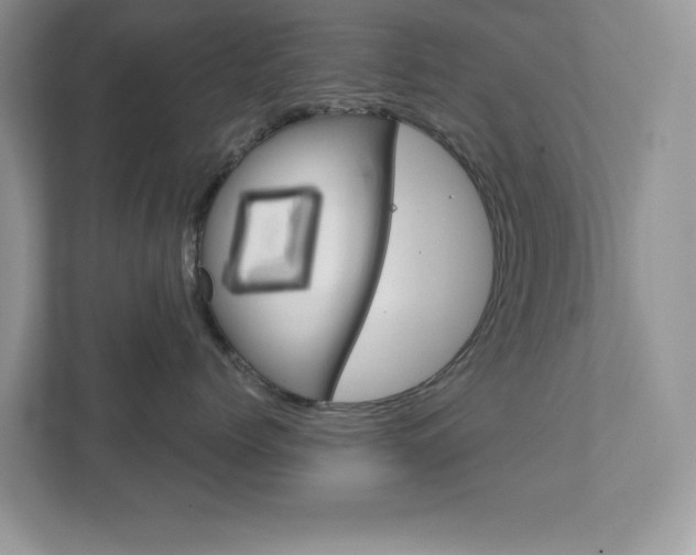 X0000111890768200907231447