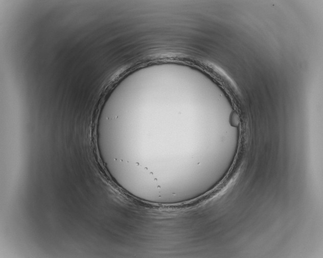X0000111890777200907231446