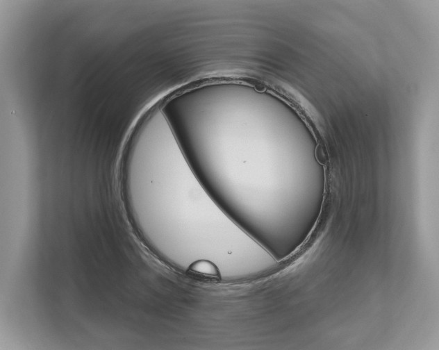 X0000111890779200907231446