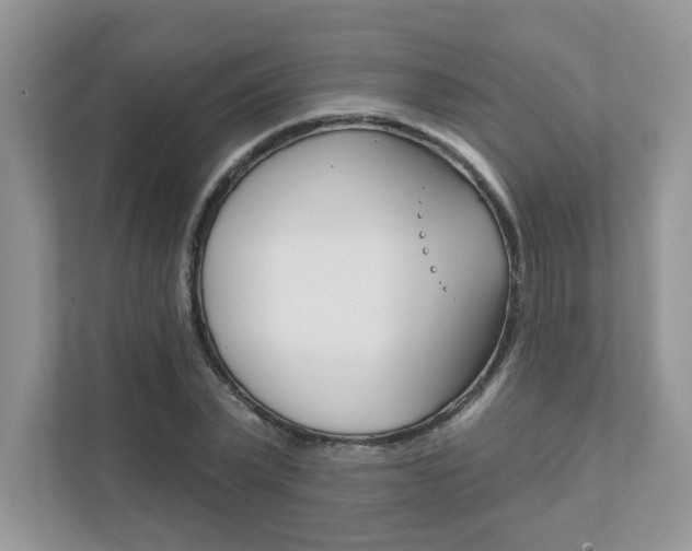 X0000111890783200907231446
