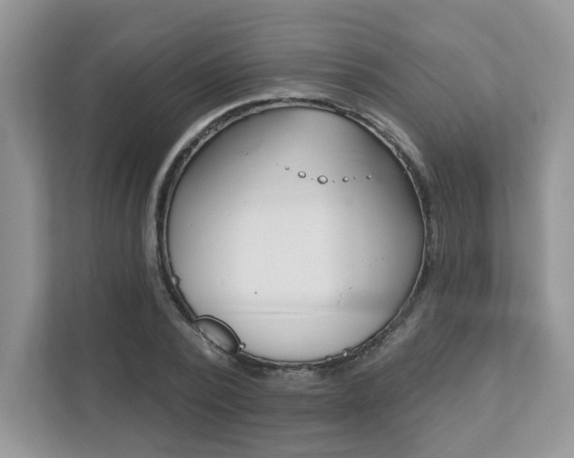 X0000111890784200907231446