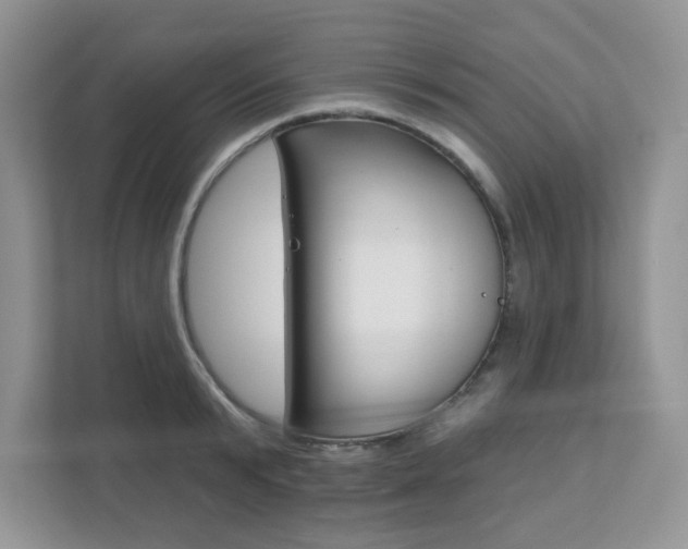 X0000111890799200907231446
