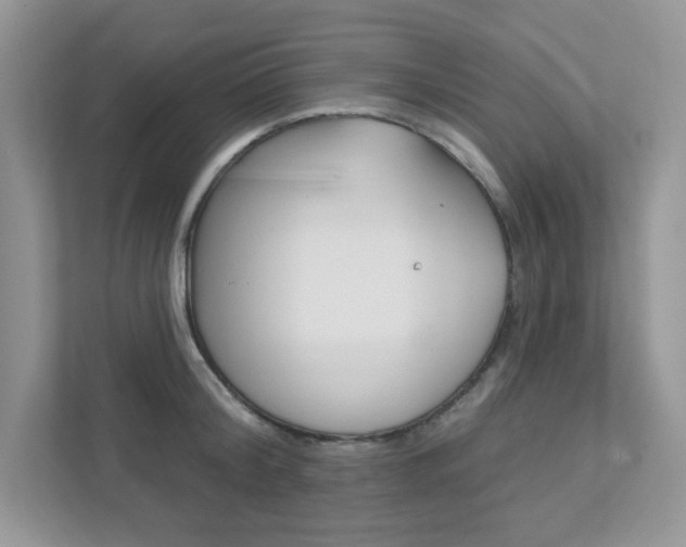 X0000111890804200907231446