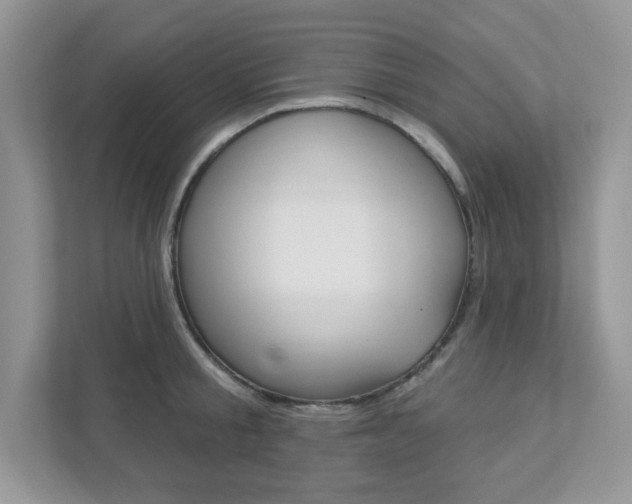X0000111890805200907231446