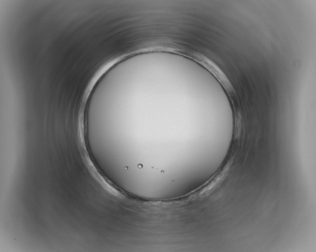 X0000111890812200907231446