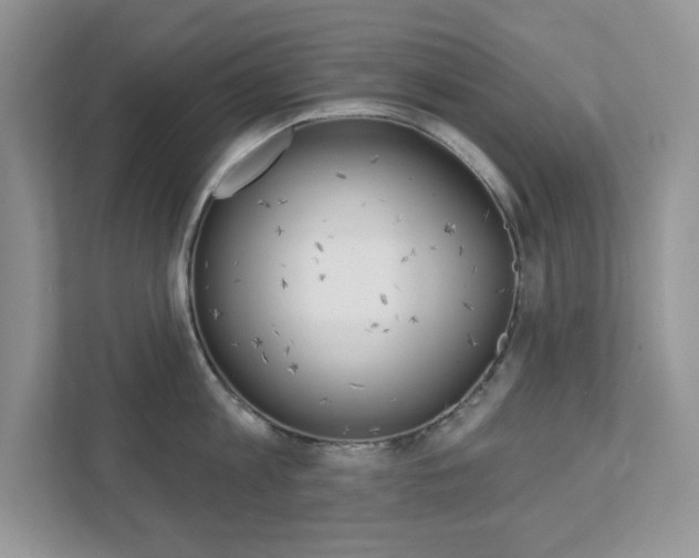 X0000111890813200907231446