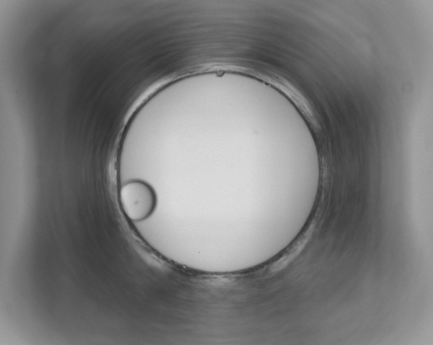 X0000111890814200907231446