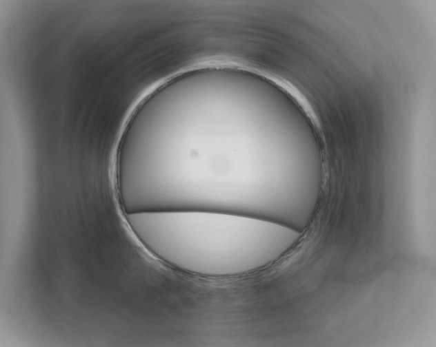 X0000111890815200907231446