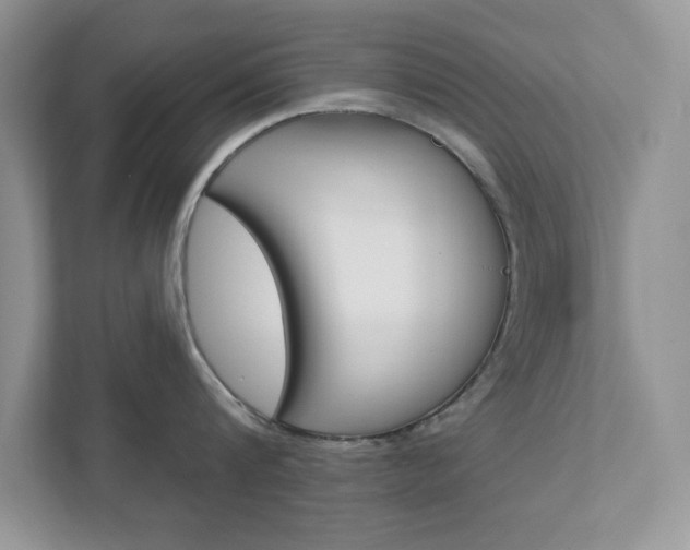 X0000111890816200907231446
