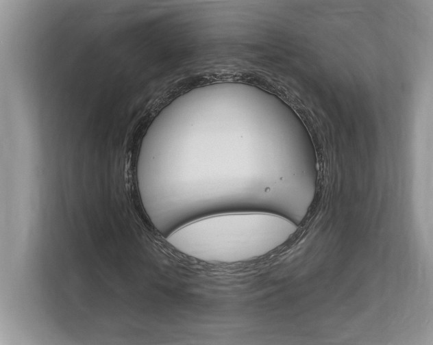 X0000111890818200907231445