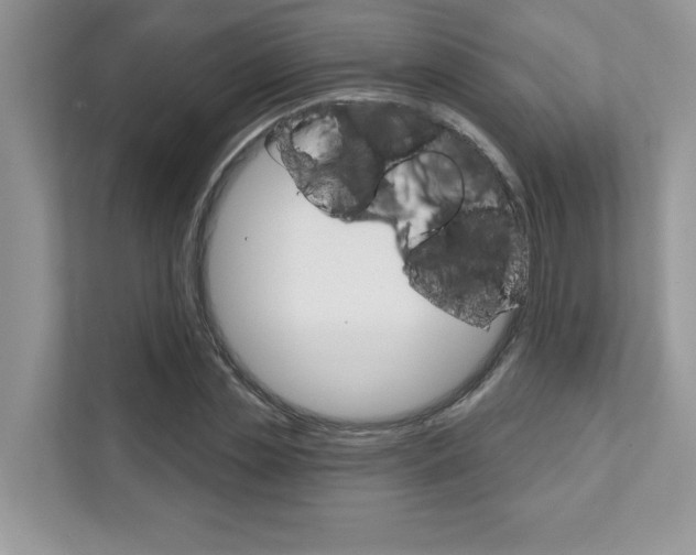 X0000111890829200907231445
