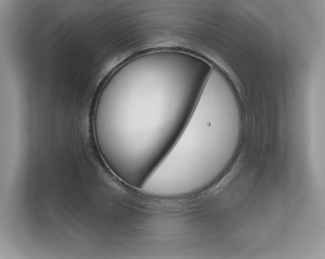 X0000111890834200907231446