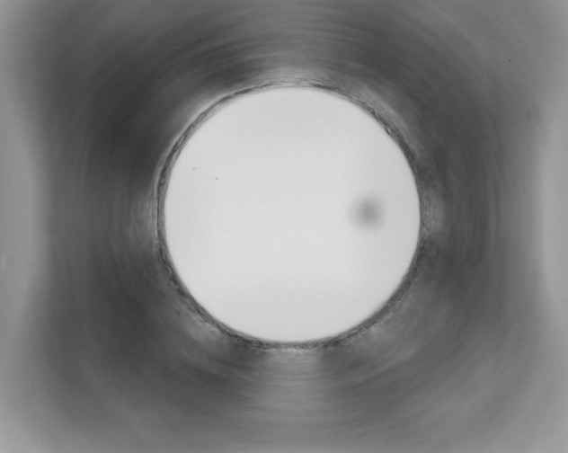 X0000111890836200907231446