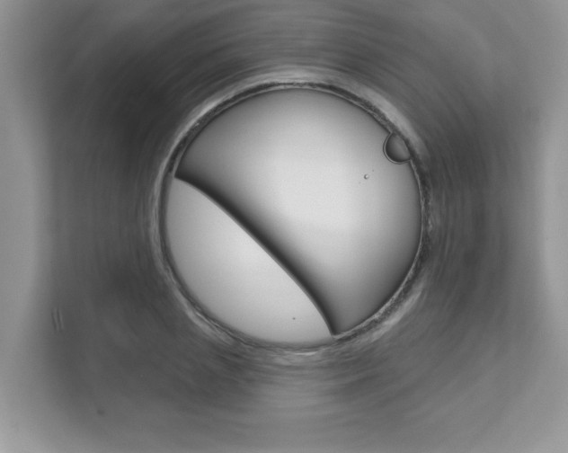 X0000111890837200907231446