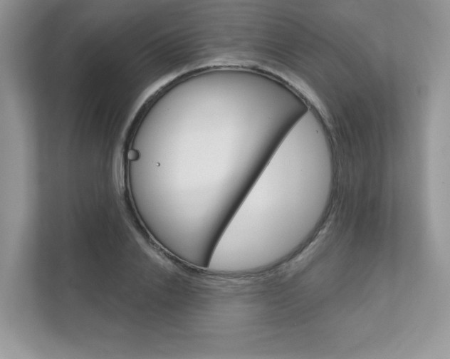X0000111890838200907231446