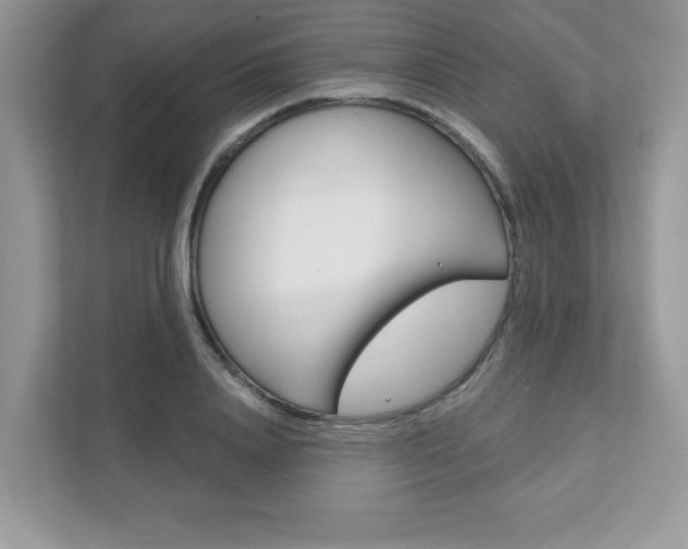 X0000111890840200907231446