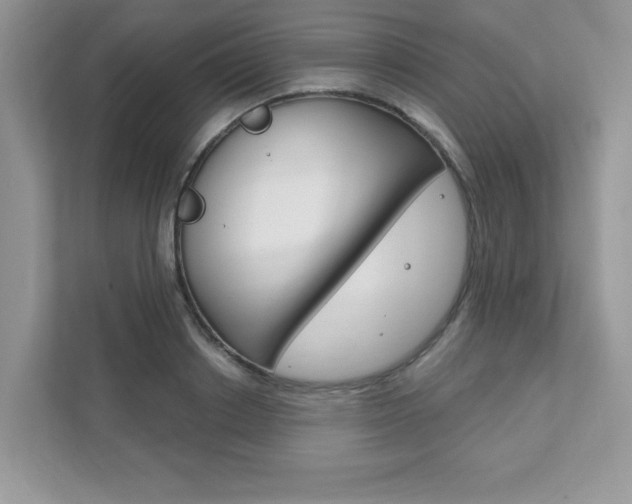 X0000111890842200907231446