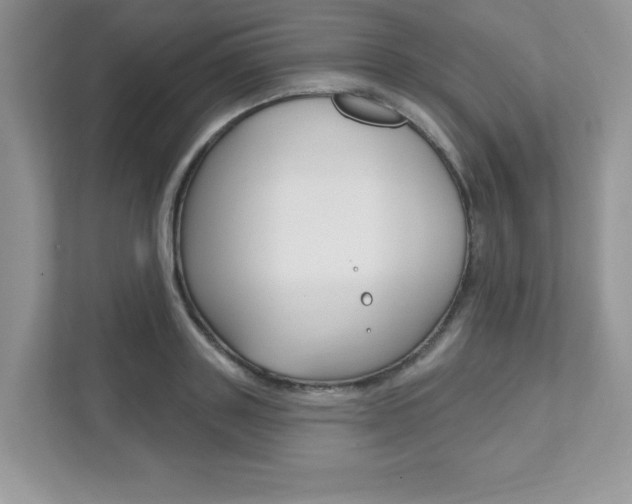 X0000111890843200907231446