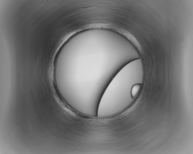 X0000111890844200907231446