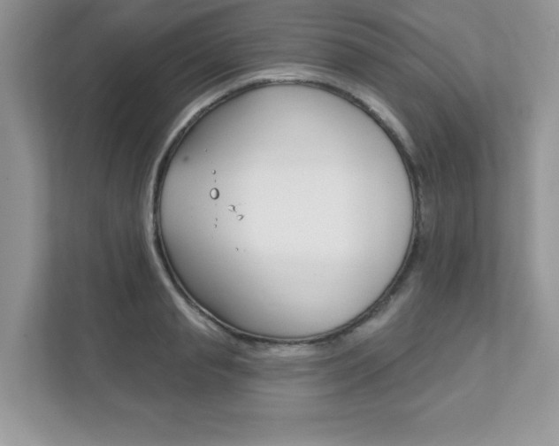 X0000111890845200907231446