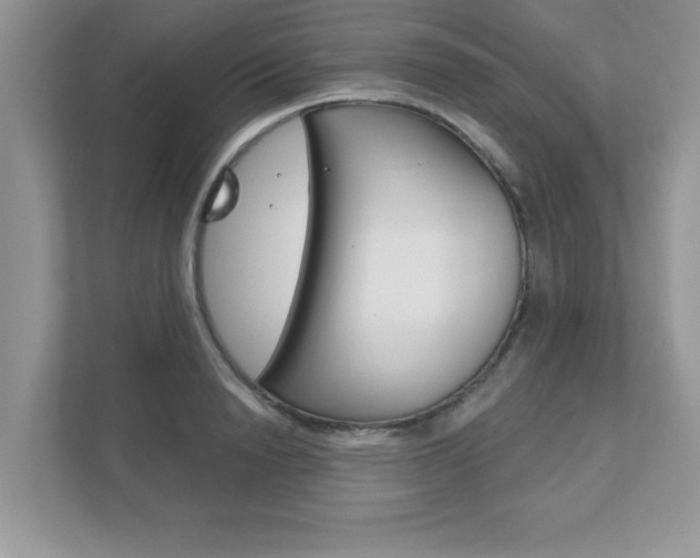 X0000111890846200907231446