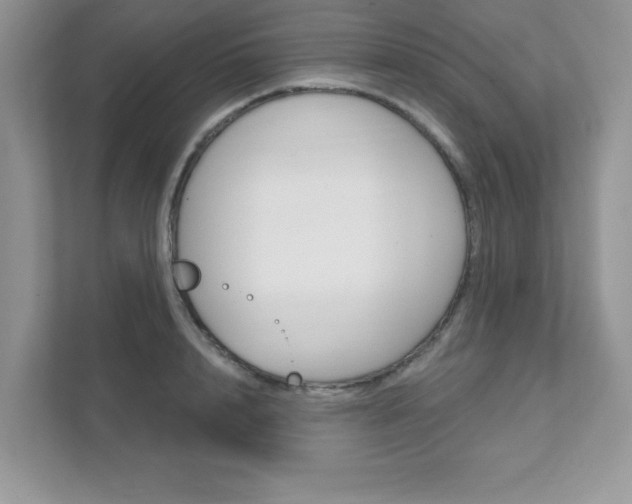 X0000111890848200907231446