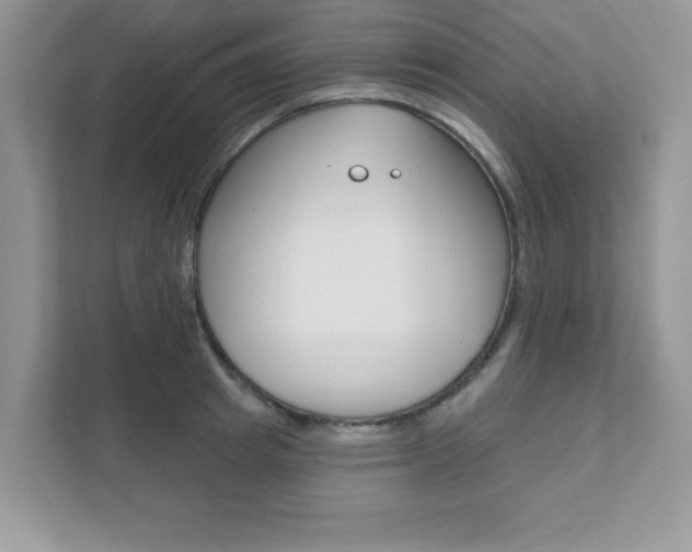 X0000111890849200907231446