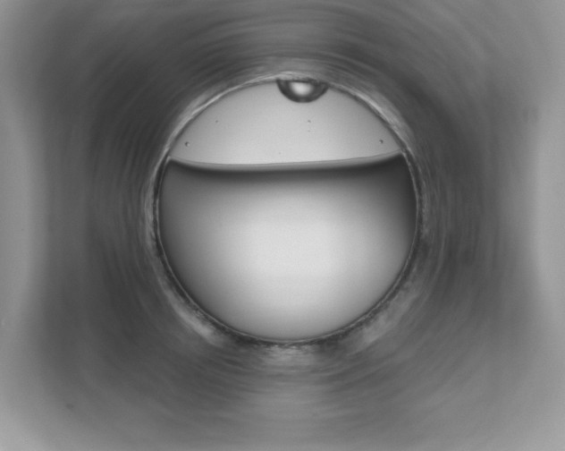 X0000111890850200907231446