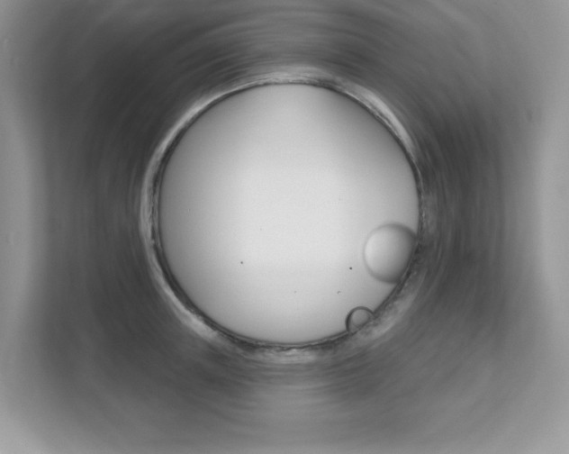X0000111890851200907231446