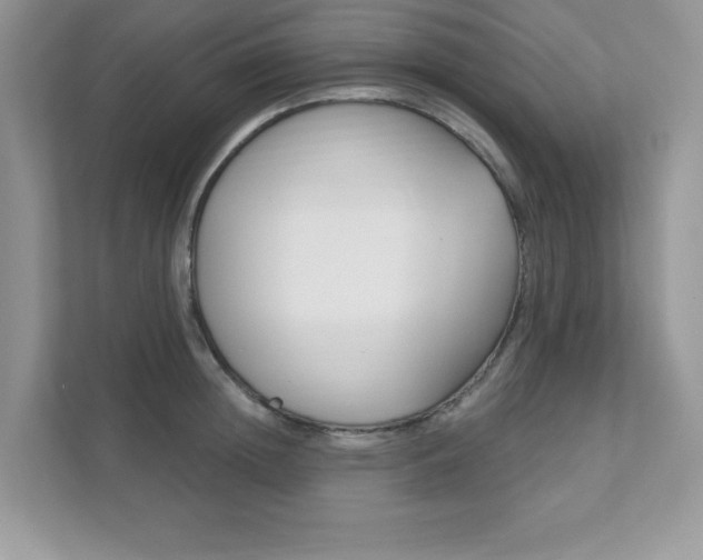 X0000111890852200907231446