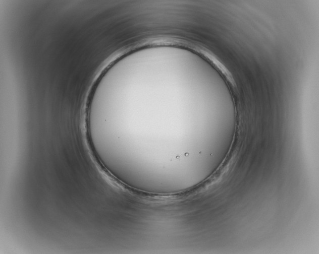 X0000111890853200907231446
