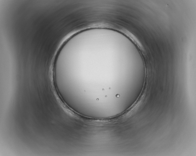 X0000111890854200907231446