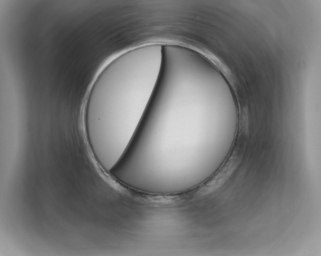 X0000111890862200907231446