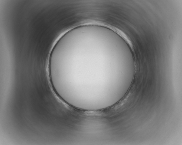 X0000111890863200907231446