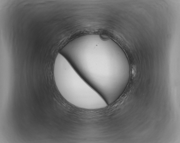 X0000111890867200907231445