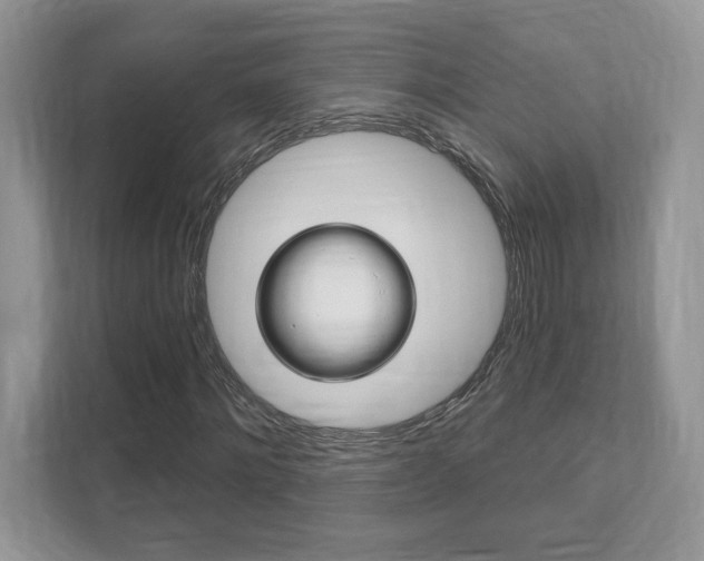 X0000111890868200907231445