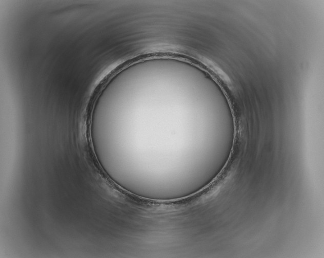 X0000111890877200907231445