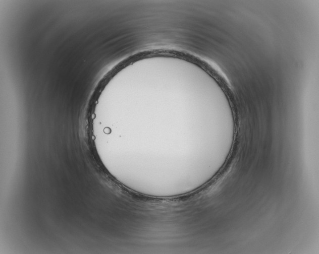 X0000111890879200907231445