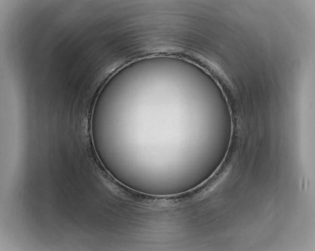 X0000111890881200907231445