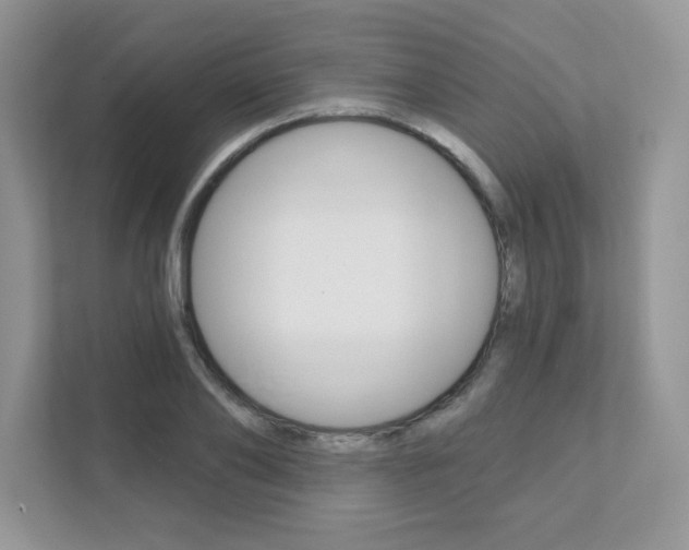 X0000111890886200907231445