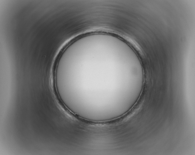 X0000111890888200907231445