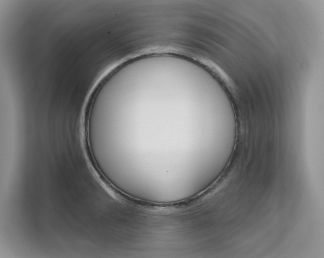 X0000111890894200907231445