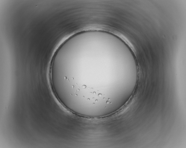 X0000111890901200907231445