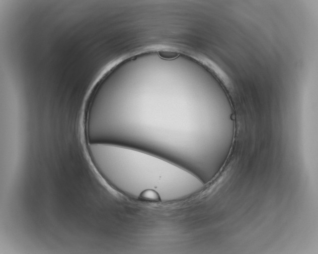 X0000111890902200907231445