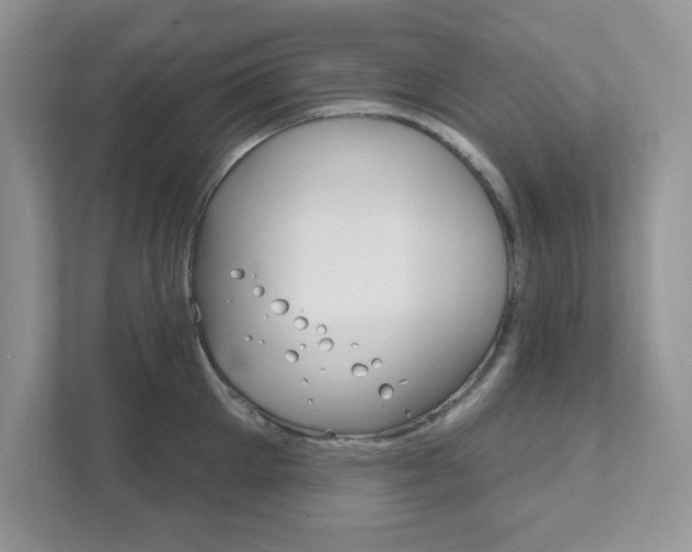 X0000111890905200907231445