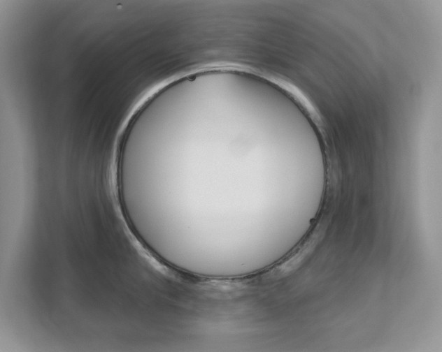 X0000111890910200907231445