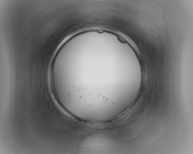 X0000111890911200907231445
