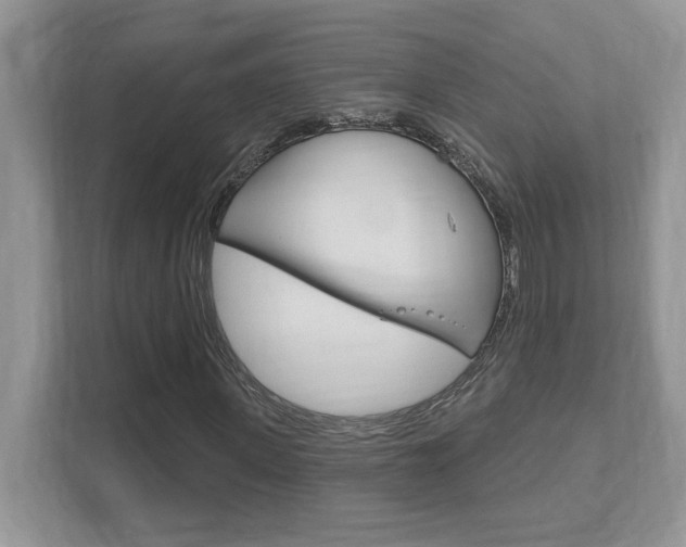 X0000111890915200907231444
