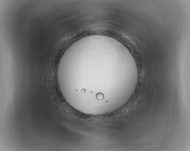 X0000111890917200907231444
