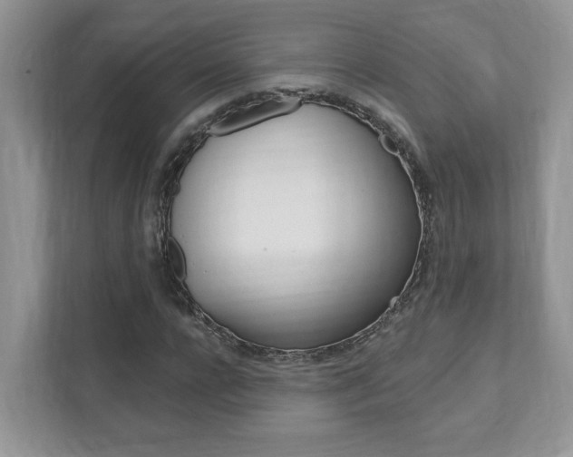X0000111890920200907231444